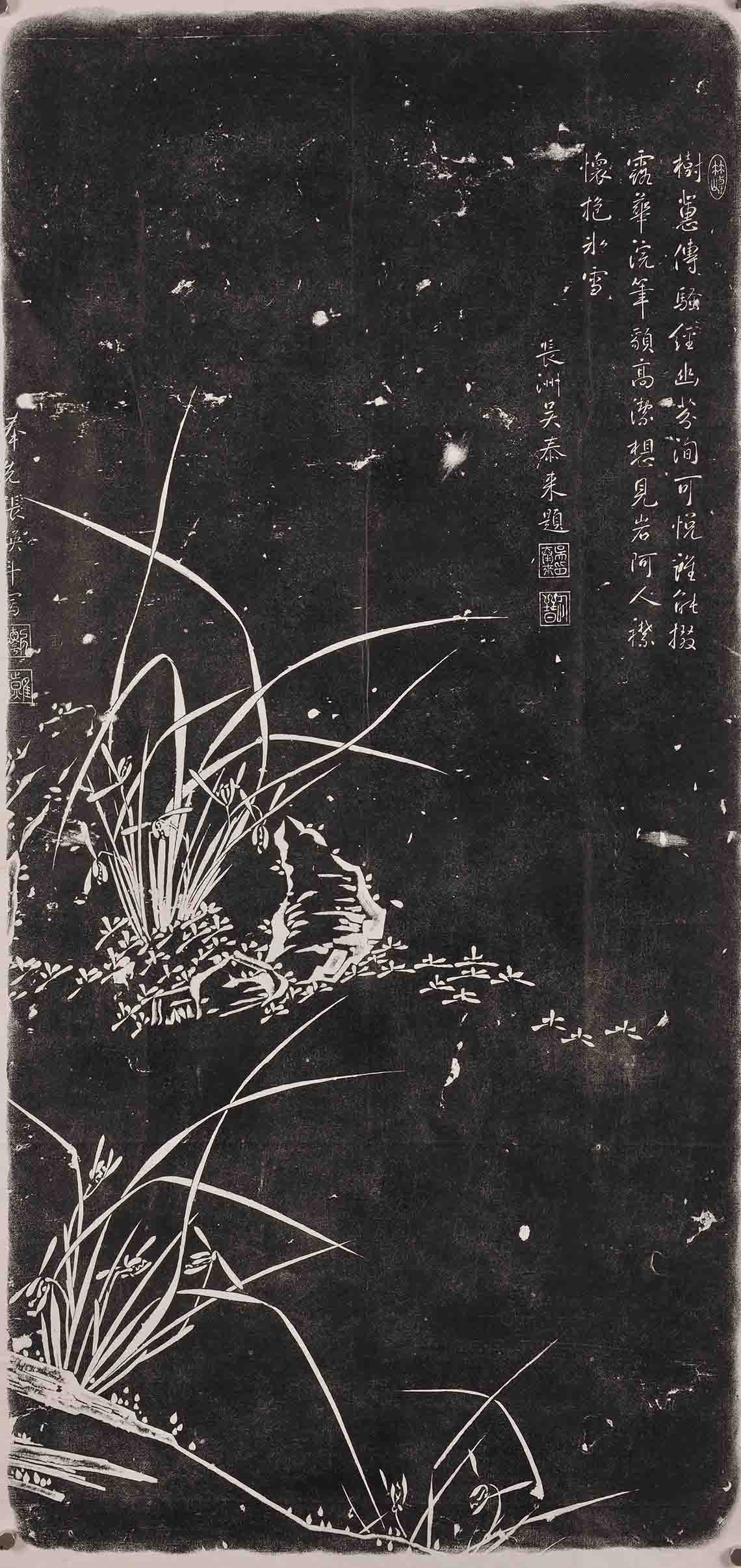 兰草图(图1)
